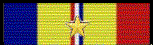 Combat Action Ribbon