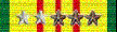 VietNam Service Medal